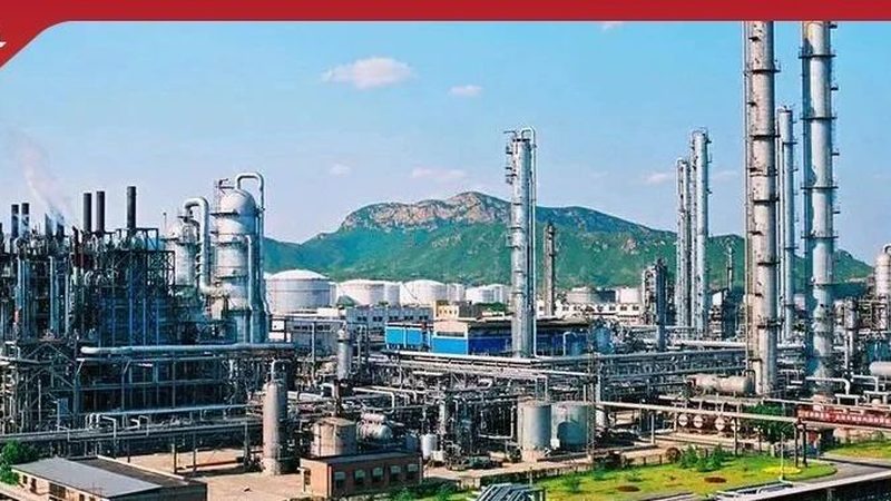 塑料助剂：助力塑料行业发展的关键要素**