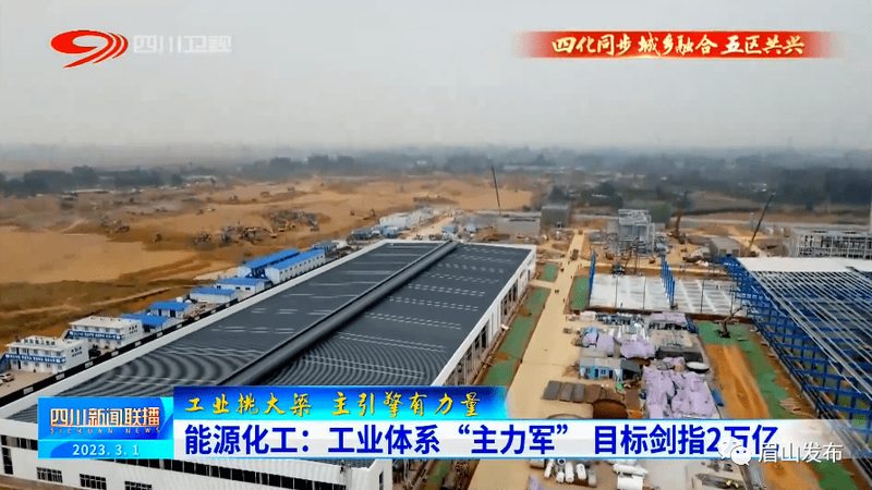工业添加剂分类标准：行业应用的指南针**