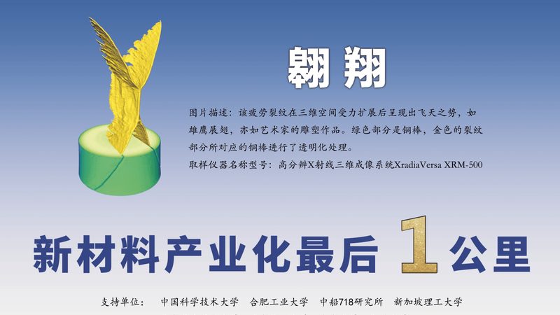 宠物食品防腐剂BHA与BHT：揭秘它们的区别与选择